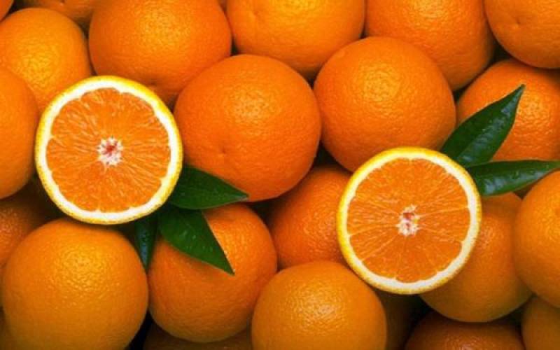 Συγκεντρώνει πορτοκάλια ο Συνεταιρισμός Καλαμάτας