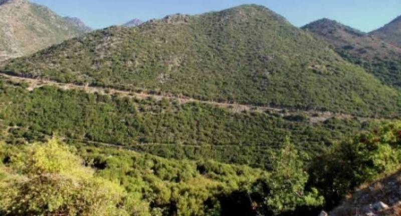 Δημοτικό Συμβούλιο Δυτικής Μάνης: Αίτημα για άνοιγμα της δυτικής θύρας στη Μονή Παναγίας Γιάτρισσας