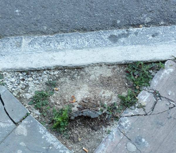 Επικίνδυνο για πεζούς απομεινάρι δέντρου στην Αθηνών