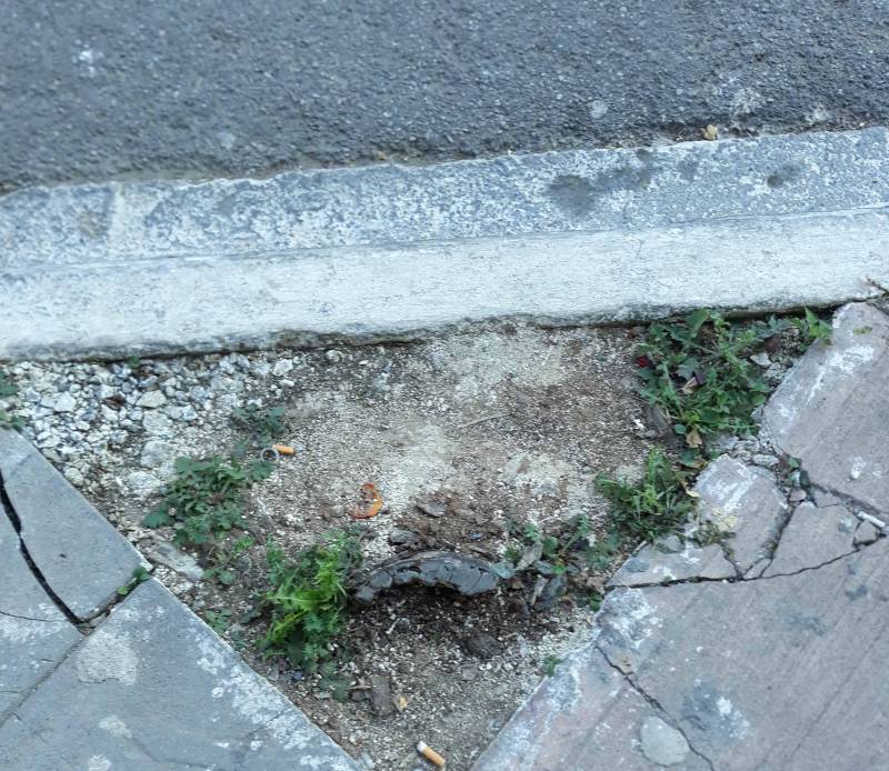 Επικίνδυνο για πεζούς απομεινάρι δέντρου στην Αθηνών