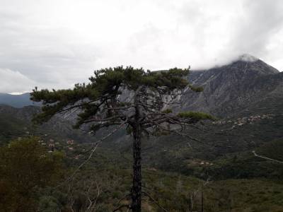 Μαθήματα από τον Ταΰγετο