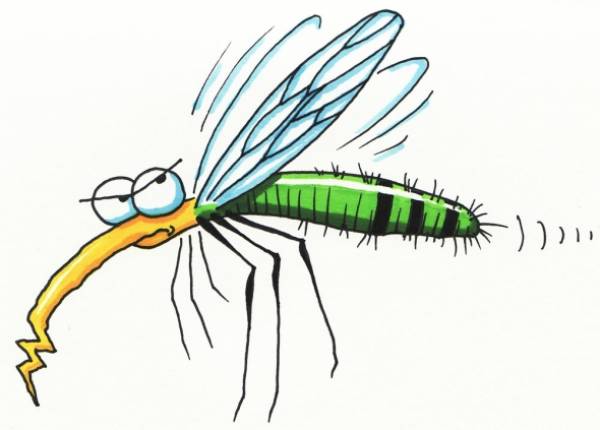 Η Περιφέρεια μόνη αρμόδια για τα κουνούπια λέει ο Δήμος Καλαμάτας