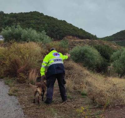 Μεσσηνία: Έρευνες για τον εντοπισμό 74χρονης αγνοούμενης στον Μελιγαλά