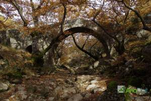 Eγκαινιάστηκε το Menalon Trail, το πρώτο ευρωπαϊκό πιστοποιημένο μονοπάτι της χώρας στη Γορτυνία