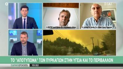 Διευθυντής Αστεροσκοπείου για φωτιές: 76.500 καμένα στρέμματα στην Αττική, στην Εύβοια ξεπερνούν τα 200.000 (Βίντεο)