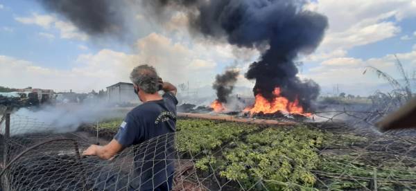 Πυρκαγιά σε ανθοκήπιο στην περιοχή της Μπούκας (Φωτογραφίες)