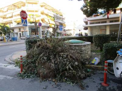 Μεσσηνία: Πρόταση από &quot;Βιώσιμη Πόλη&quot; για αξιοποίηση κλαδεμάτων (βίντεο)