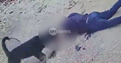 Μεσσηνία: Μήνυση για κακοποίηση ζώου κατά ιδιοκτήτη και αστυνομικού που πυροβόλησε σκύλο – Τι καταγγέλλει εκπρόσωπος φιλοζωικής