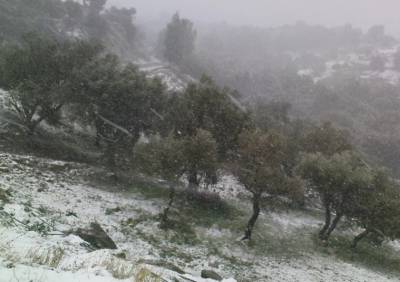 Κακοκαιρία Μήδεια: Προβλήματα στη Ζάκυνθο από το χιόνι, κάτοικοι δεν μπορούν να βγουν από τα σπίτια τους στα ορεινά