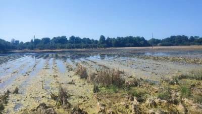 1000 στρέμματα κάτω από το νερό: Παραμένουν μετά τις πλημμύρες της Τριφυλίας