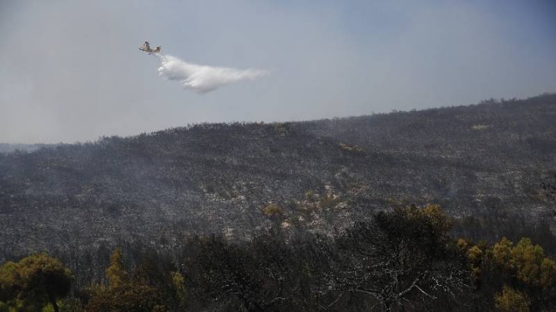 Σε Κανδήλι και Ψάθα η μεγάλη μάχη με την πυρκαγιά στη Δυτική Αττική (βίντεο)