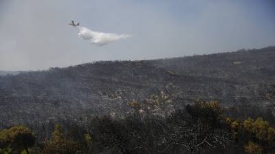 Σε Κανδήλι και Ψάθα η μεγάλη μάχη με την πυρκαγιά στη Δυτική Αττική (βίντεο)