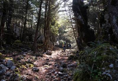 Πεζοπορία του Ορειβατικού Συλλόγου Καλαμάτας στο Καλάθι