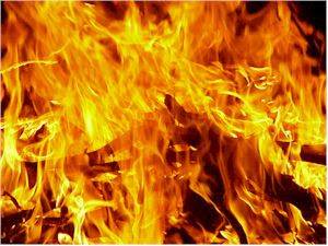 Δύο φωτιές σε εξέλιξη στην Αρεόπολη Λακωνίας