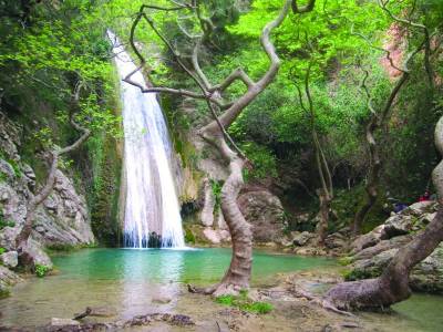 Εξόρμηση στη Νέδα
