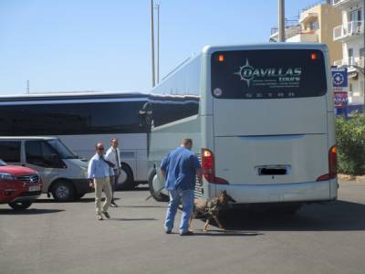 Ερευνα από τη “Μέρσι”