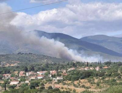 Φωτιά σε αγροτοδασική έκταση στο Κοπανάκι