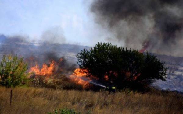 Μεσσηνία: Πυρκαγιά στο Ακριτοχώρι