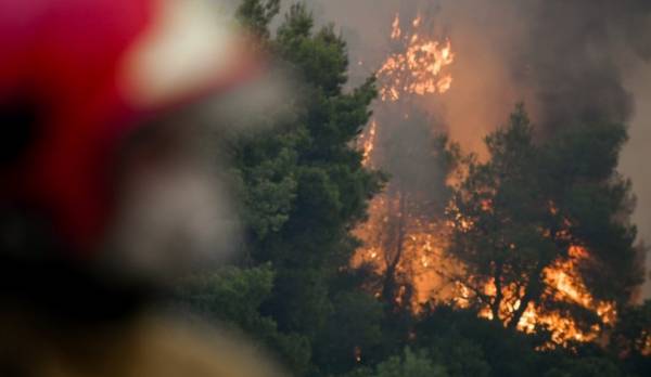 Πυροσβεστική: 45 δασικές πυρκαγιές το τελευταίο 24ωρο