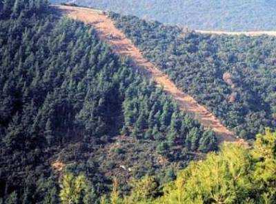 Σύμβαση για βελτίωση αντιπυρικών δρόμων στη Μεσσηνία