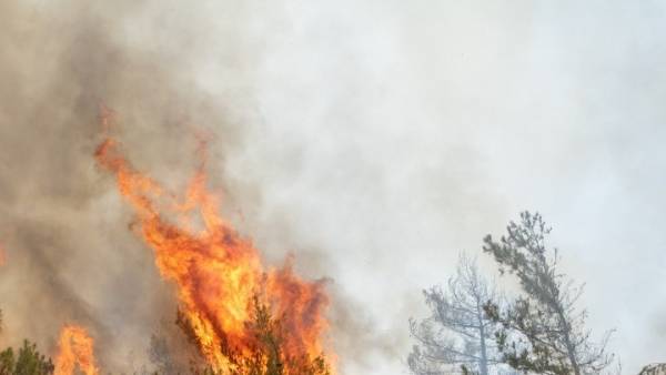 Σε εξέλιξη πυρκαγιά σε δασική έκταση στο Λασίθι