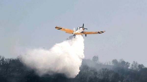 Πυρκαγιά σε δασική έκταση στο Προσήλιο της Ανατολικής Μάνης