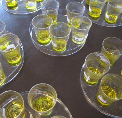 Εναρξη μαθημάτων στο ΚΕΚ Μεσσηνίας