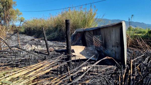 Καλαμάτα: Κάηκαν 22 στρέμματα και ένα τρακτέρ από τη μεγάλη πυρκαγιά στον Μπουρνιά