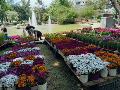 Παρέμβαση Χριστόπουλου για την Ανθοκομική Εκθεση Καλαμάτας