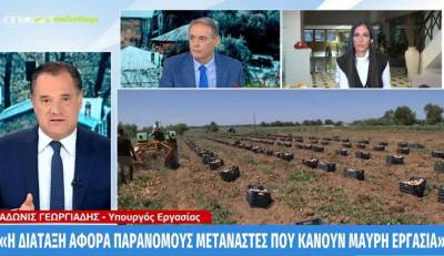 Γεωργιάδης: Η διάταξη αφορά παράνομους μετανάστες που κάνουν μαύρη εργασία - Δεν είναι ταξιδιωτικό έγγραφο (Βίντεο)
