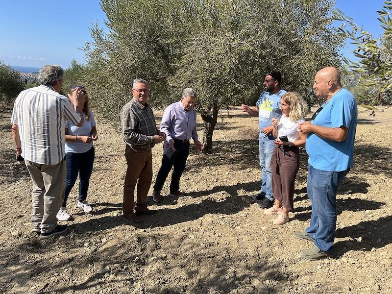 Αναστασόπουλος για προβλήματα στην ελαιοπαραγωγή