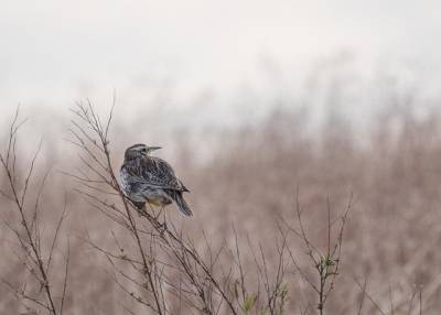 Τι λένε τα ζώδια σήμερα (25/11)