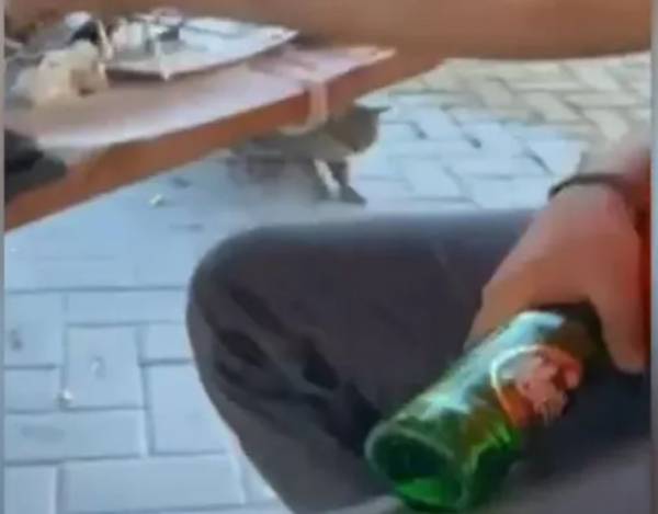 Θάσος: Χτύπησε γάτα με μπουκάλι στο κεφάλι και οι φίλοι του γελούσαν (Βίντεο)