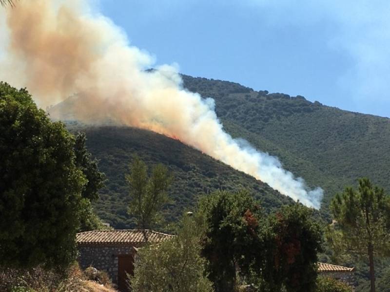 Κυπαρισσία: Πυρκαγιά στους Άνω Μπλεμενιάνους (βίντεο)