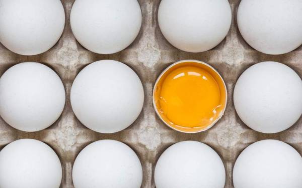 H τακτική κατανάλωση αυγών αυξάνει τον κίνδυνο για καρδιαγγειακή νόσο