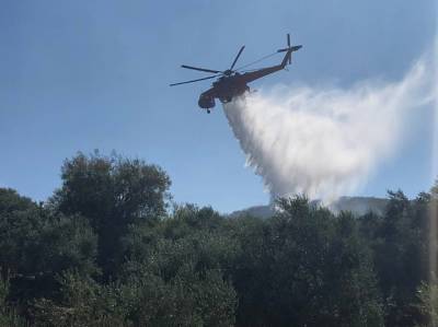 Μεσσηνία: Υπό μερικό έλεγχο η πυρκαγιές σε Μάνεση και Σολάκι