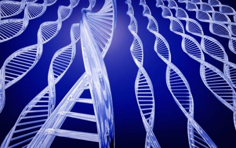 Ανακαλύφθηκαν περίπου 1.000 γονίδια για την εξυπνάδα