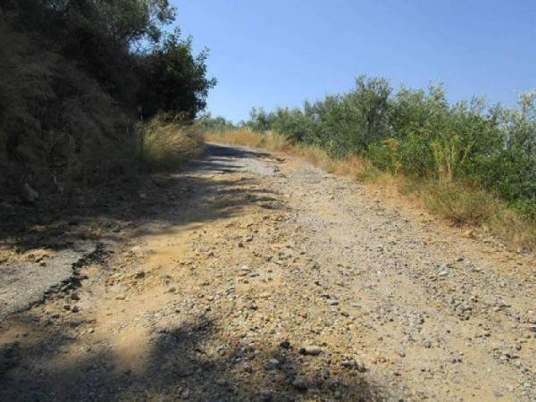 Συνεχής προσπάθεια για την αγροτική οδοποιία του Δήμου Μεσσήνης