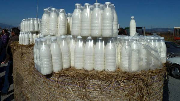 Καλά νέα για τους Ελληνες κτηνοτρόφους από την αύξηση των Ευρωπαικών τιμών γάλακτος
