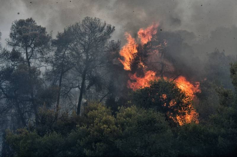 Πυρκαγιά σε δασική έκταση στο Δερβένι Κορινθίας