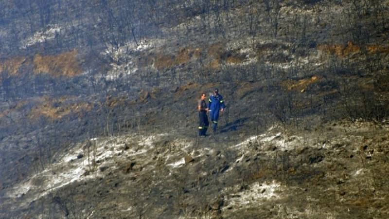Κεφαλονιά: Σε ύφεση η πυρκαγιά - Σε επιφυλακή οι πυροσβεστικές δυνάμεις