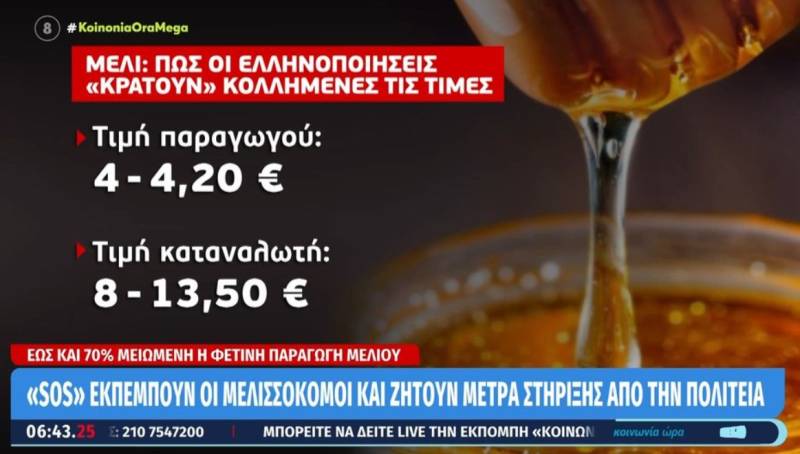 Μέλι: Μειωμένη έως και 70% η φετινή παραγωγή (Βίντεο)