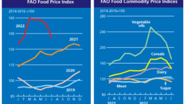 FAO: Οι τιμές των τροφίμων σημείωσαν νέα πτώση τον Ιούλιο