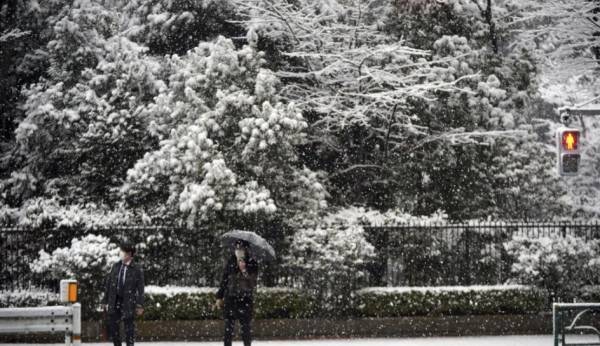 Ιαπωνία: Σφοδρή χιονόπτωση πλήττει το Τόκιο