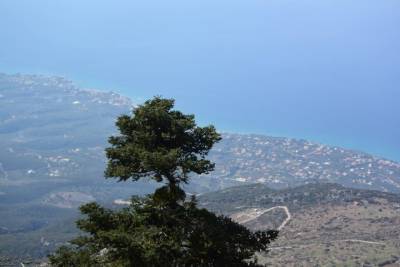 Πεζοπορία στο Καλάθι από τον Ορειβατικό Καλαμάτας