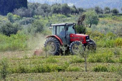 Νεκρός συνταξιούχος σε αγρόκτημα στη Βαλύρα