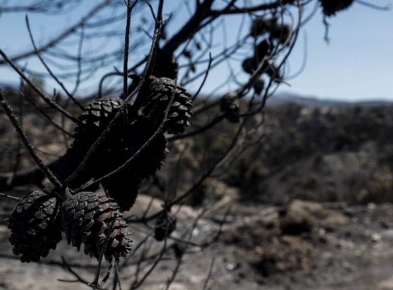 «Ανταρσία στο Μοριά» για τις πυρκαγιές στην Πελοπόννησο
