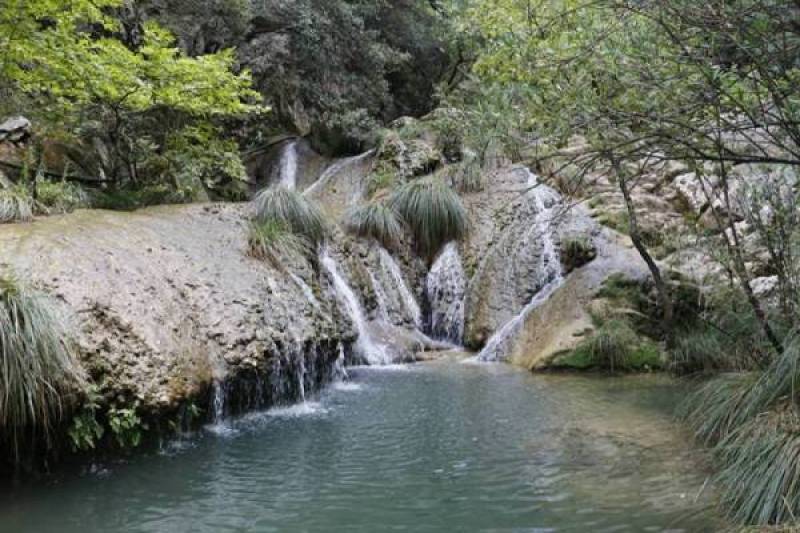 Ψήφισμα κατά μικρού υδροηλεκτρικού στη Νέδα