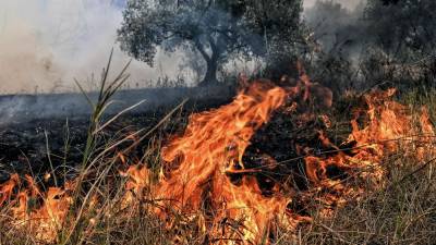 Δύο φωτιές σε εξέλιξη στην Κορινθία και στην Ηλεία