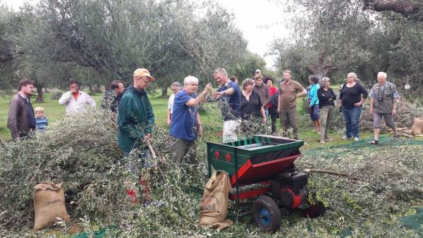 Λιομάζωμα από Δανούς τουρίστες σε ελαιώνες της Μεσσηνίας για 12η χρονία με το "Trigilidas Travel"